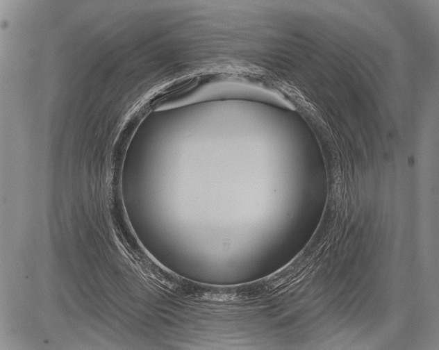 X0000081600440200702051333