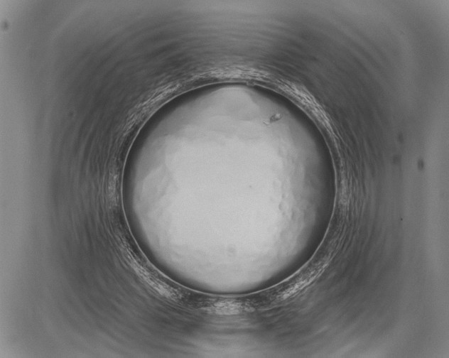 X0000081600441200702051333