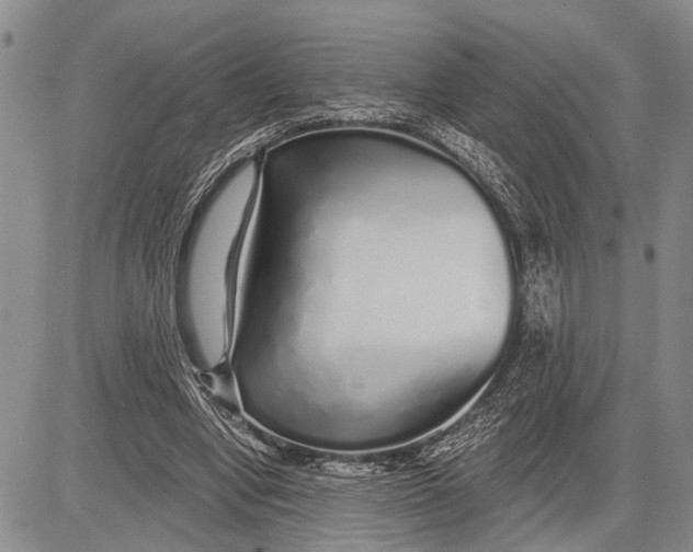 X0000081600442200702051333