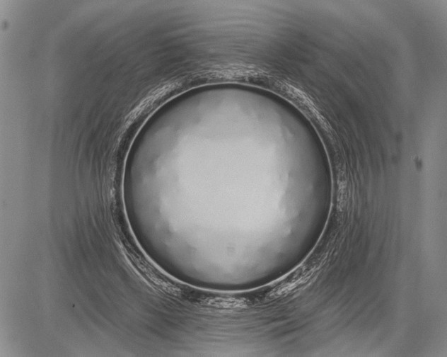 X0000081600443200702051333