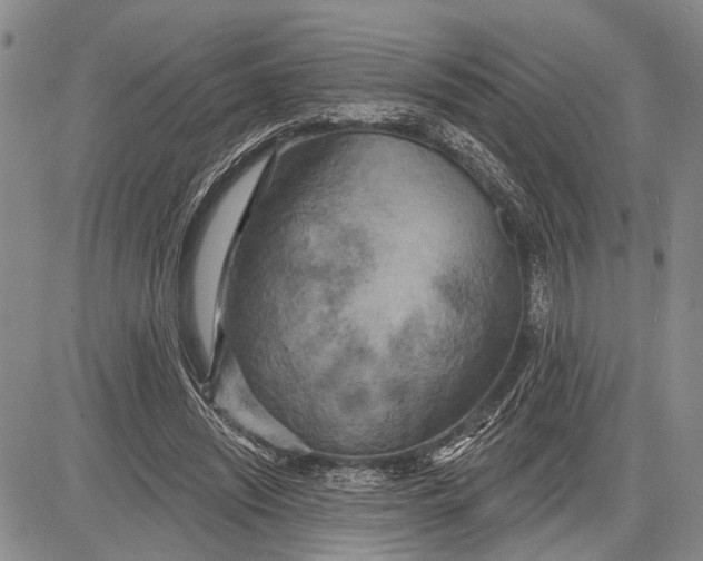 X0000081600444200702051333