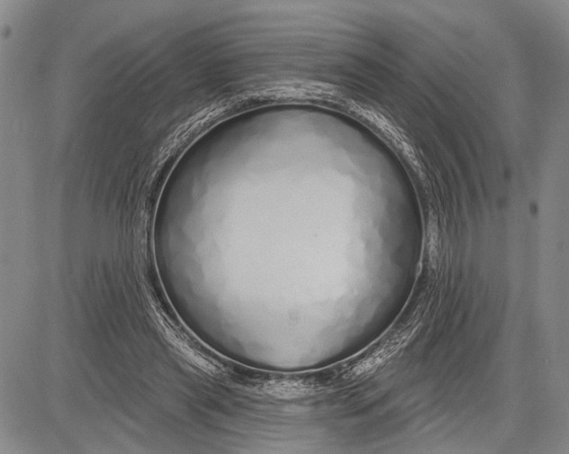 X0000081600445200702051333