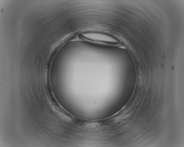 X0000081600446200702051333