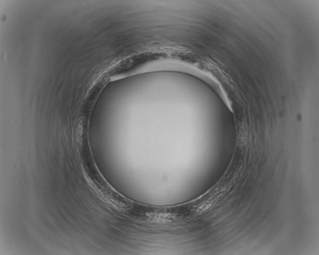 X0000081600448200702051333