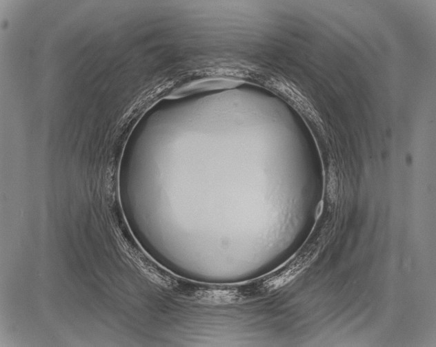 X0000081600449200702051333