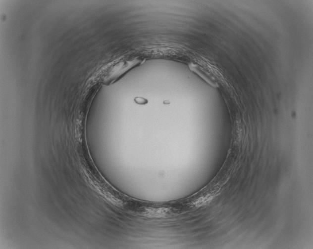 X0000081600450200702051333