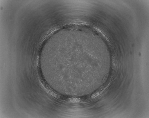 X0000081600451200702051333