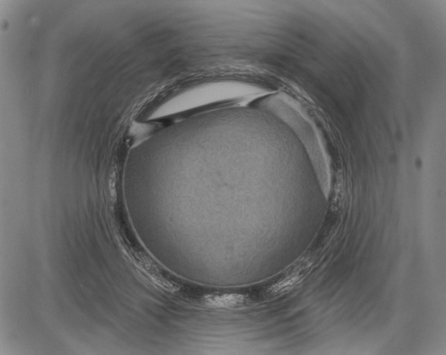 X0000081600452200702051333