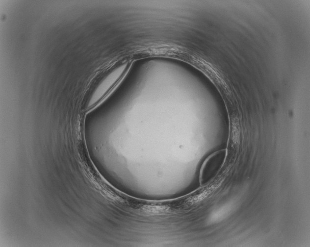 X0000081600453200702051333