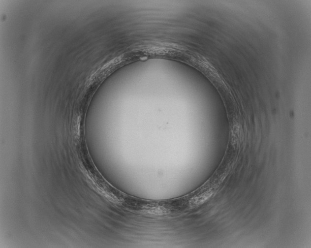 X0000081600454200702051333