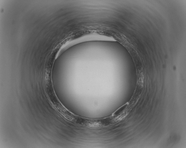 X0000081600456200702051333