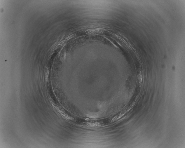 X0000081600458200702051333