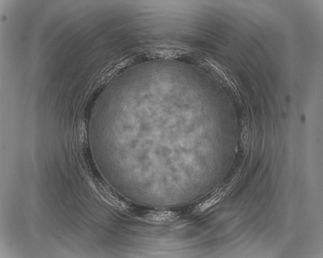 X0000081600459200702051333