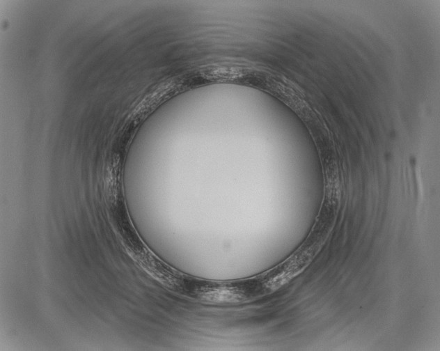 X0000081600460200702051333