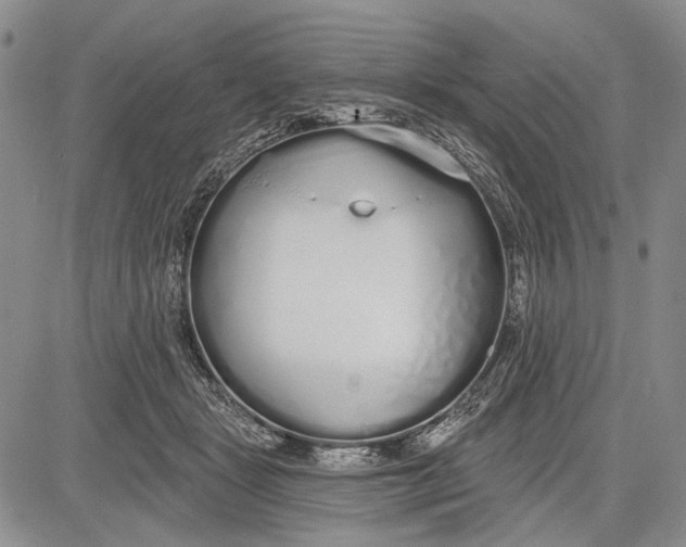 X0000081600461200702051333