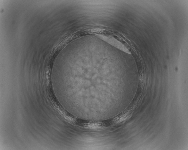 X0000081600462200702051333