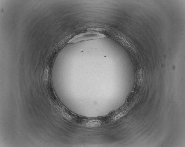 X0000081600463200702051333