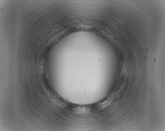 X0000081600464200702051333