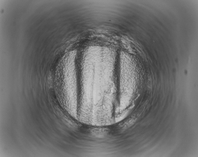 X0000081600465200702051333