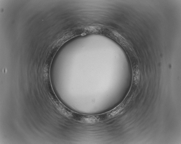 X0000081600466200702051333