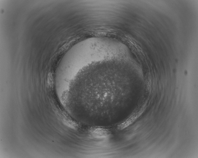 X0000081600467200702051334