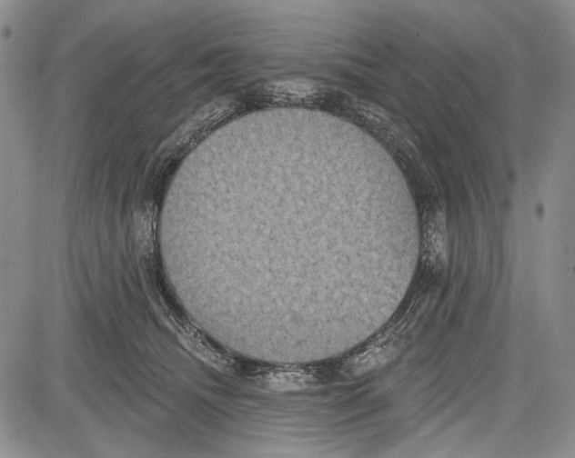 X0000081600468200702051334