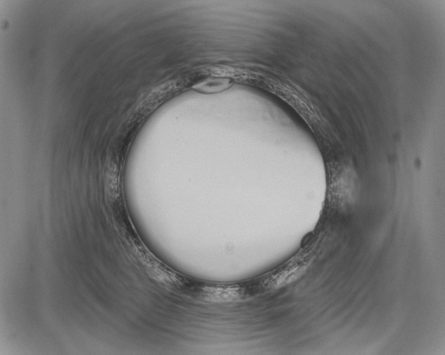 X0000081600469200702051334