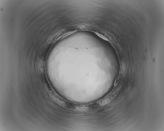 X0000081600470200702051334