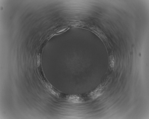 X0000081600471200702051334