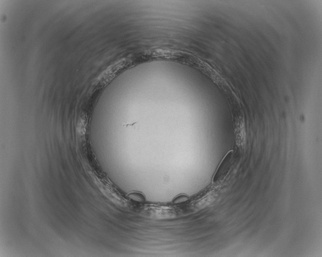 X0000081600472200702051334