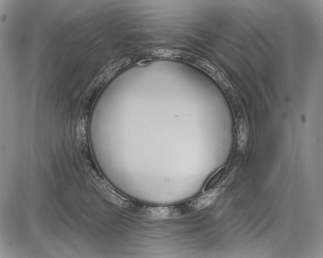 X0000081600473200702051334