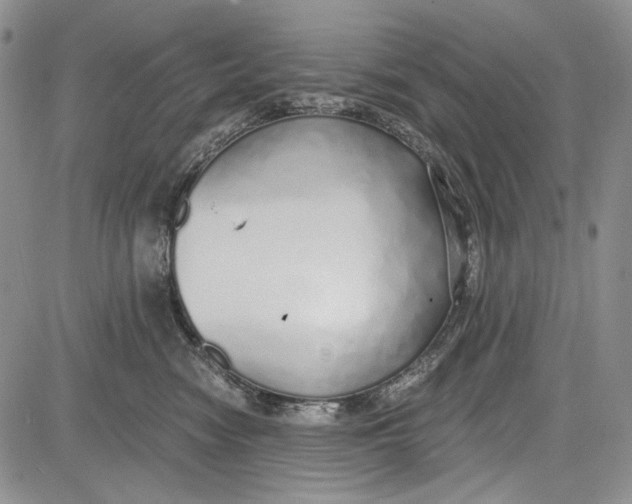 X0000081600474200702051334