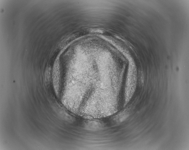 X0000081600475200702051334