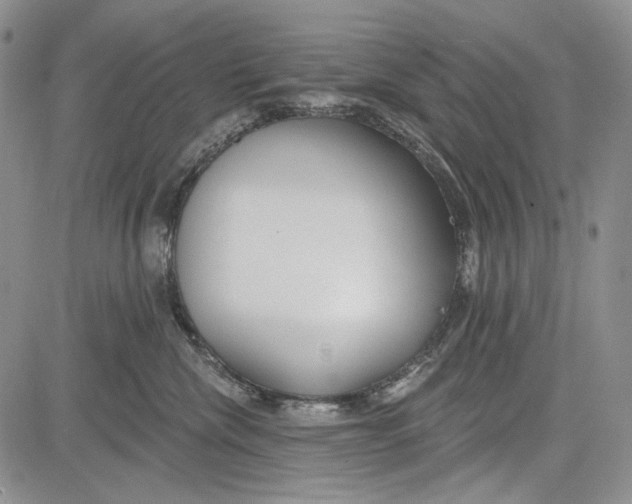 X0000081600476200702051334