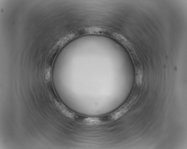 X0000081600477200702051334