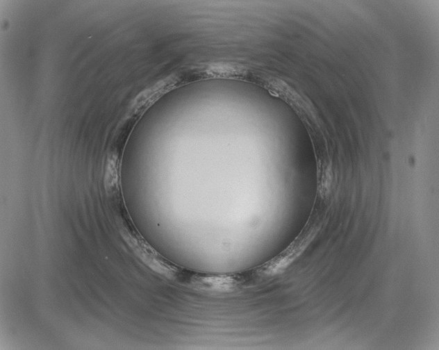 X0000081600478200702051334