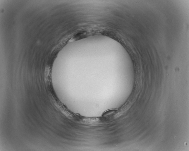 X0000081600480200702051334