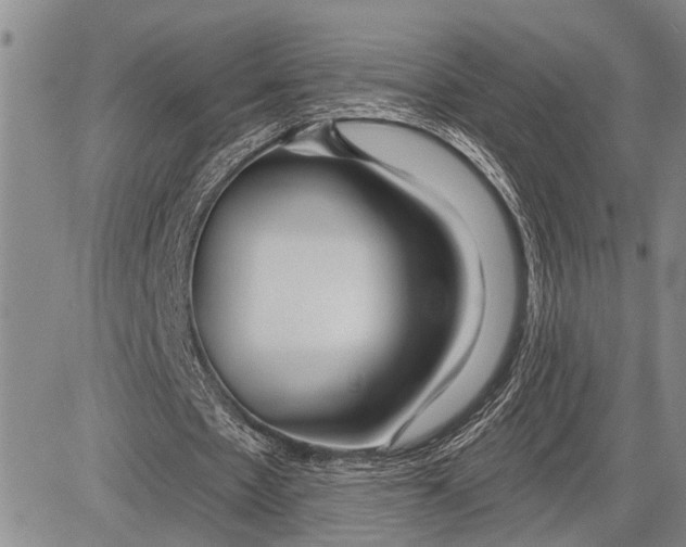 X0000081600481200702051333