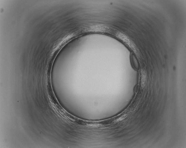 X0000081600482200702051333