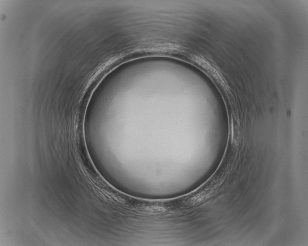 X0000081600483200702051333