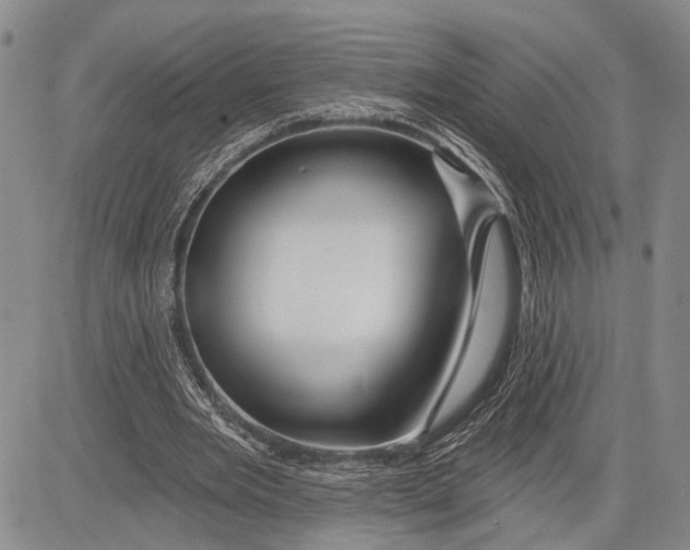 X0000081600485200702051333