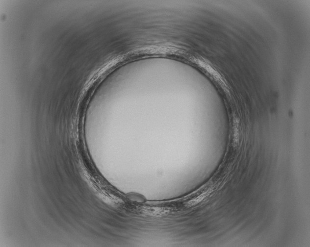 X0000081600486200702051333