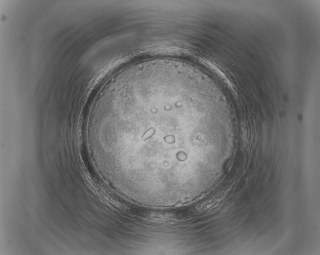 X0000081600487200702051333