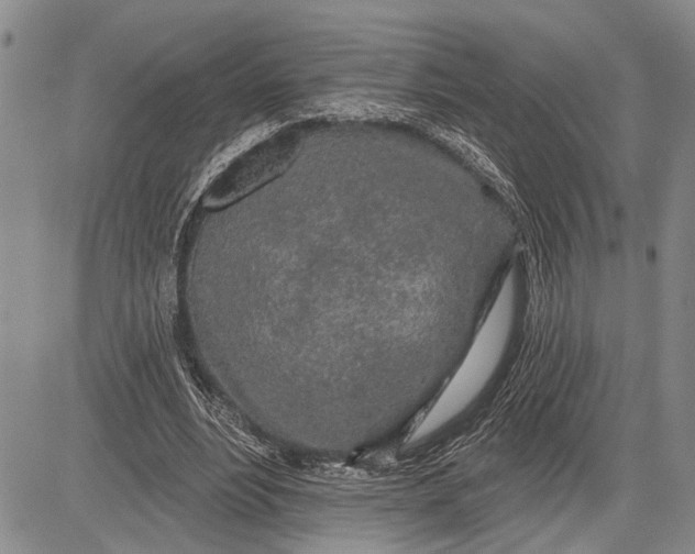 X0000081600488200702051333