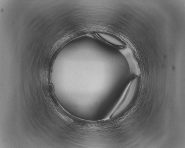 X0000081600489200702051333