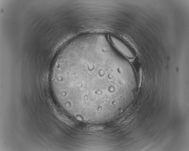 X0000081600491200702051333