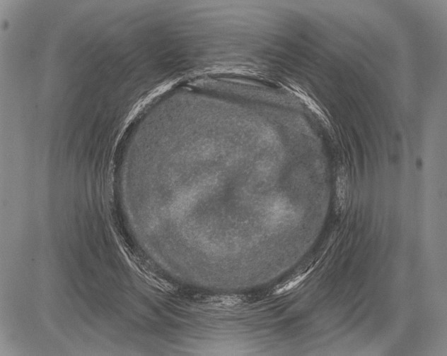 X0000081600492200702051333