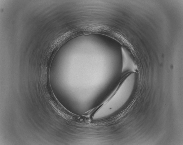 X0000081600493200702051333