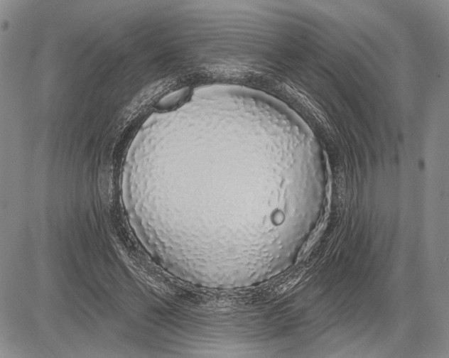 X0000081600494200702051333