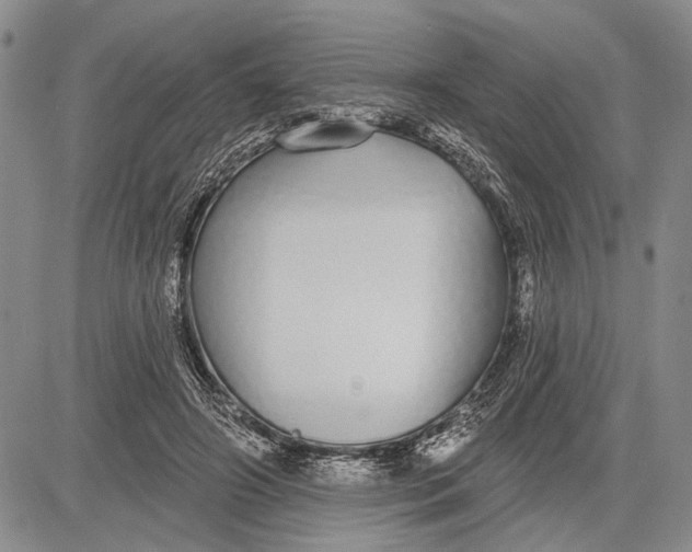 X0000081600498200702051333